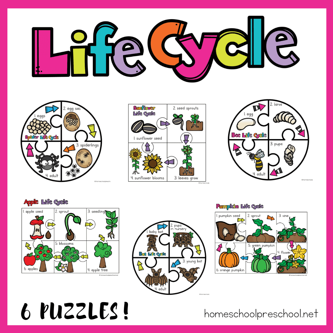 life-cycle-puzzles Plant Life Cycle Books for Kids