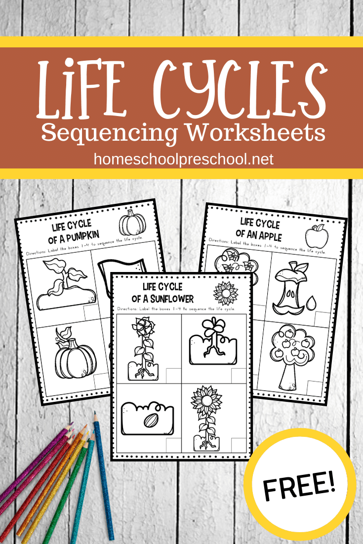 Young kids can practice putting things in order with this pack of life cycle sequencing worksheets. This pack focuses on the life cycle of six living things.