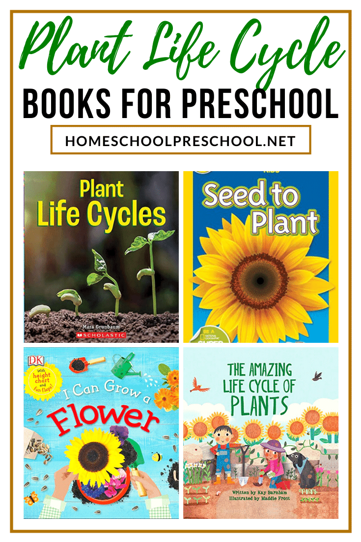 No matter what growing season you're in, these plant life cycle books for kids are a great way to teach kids how plants grow from seed to adult. 