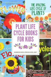 Plant Life Cycle Books for Kids