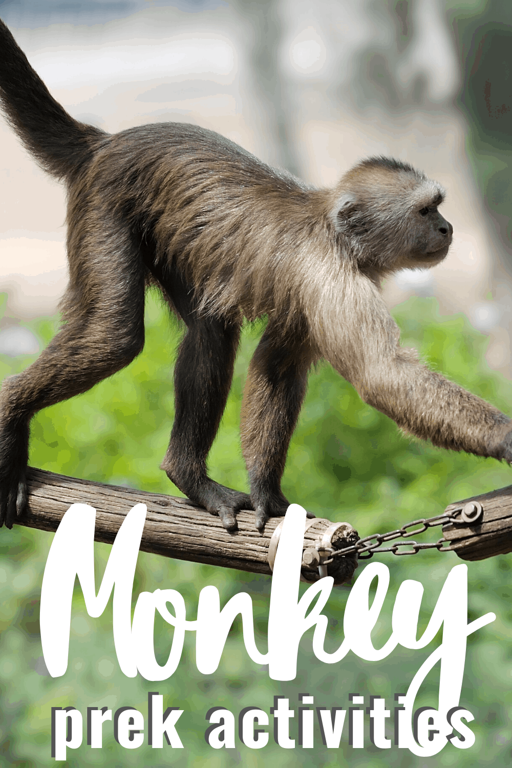 Monkey Activities for Preschool