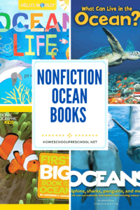 Nonfiction Books About the Ocean
