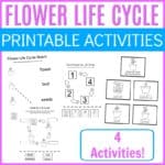 Add these preschool flower life cycle activities to your upcoming spring and summer activities. Find four printable activity pages for preschoolers.