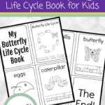 Here's a simple butterfly life cycle printable book for preschoolers. Teach them the four stages of a butterfly's life this spring. 