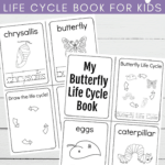 Here's a simple butterfly life cycle printable book for preschoolers. Teach them the four stages of a butterfly's life this spring. 