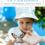 butterfly-lp-1-150x150 Butterfly Activities for Preschoolers