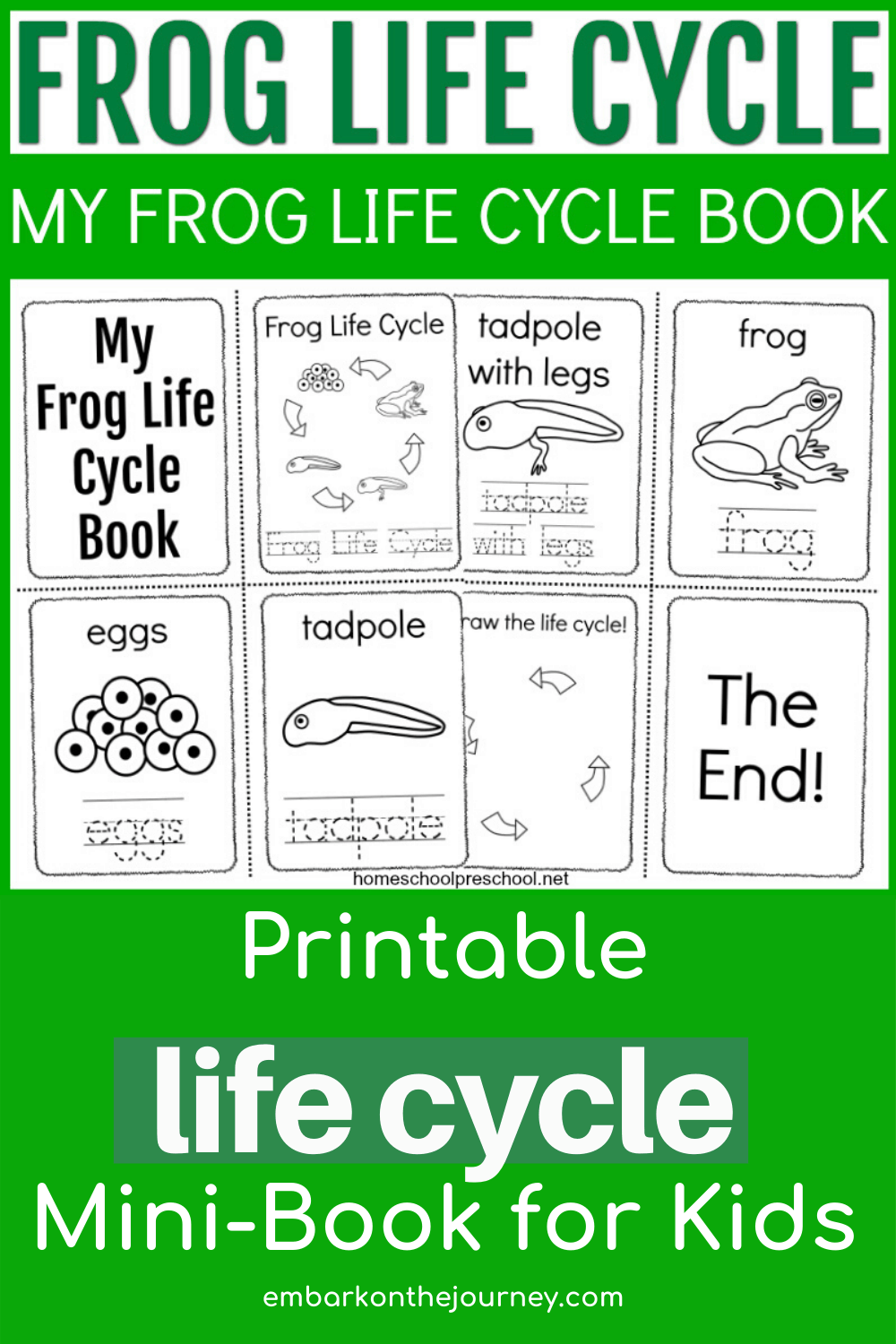 Free Printable Frog Life Cycle Book for Preschoolers With Frogs Life Cycle Worksheet