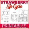Free Strawberry Life Cycle Worksheets