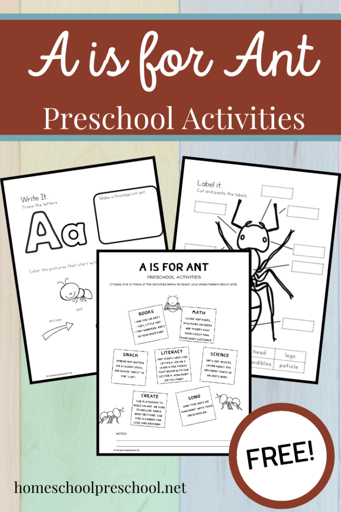Summer time brings picnics, and picnics bring ants. Teach your little ones about ants with this mini pack of A is for Ant preschool printables. 