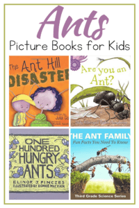 Books About Ants