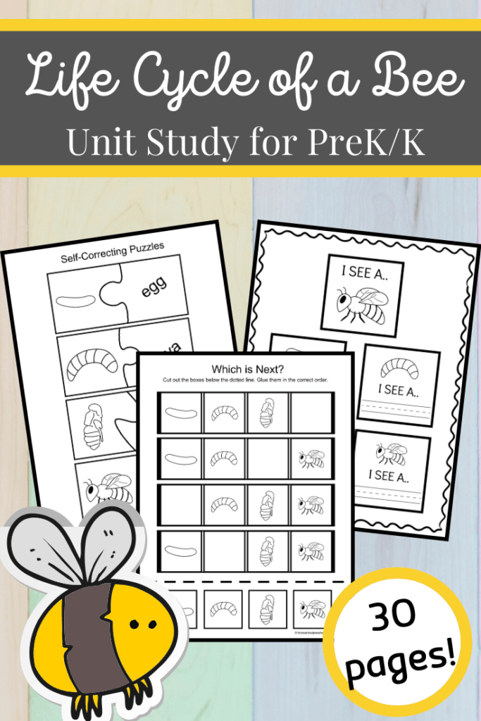 This printable life cycle of a bee for preschoolers pack features fifteen engaging activities that are perfect for preschoolers, pre-k, and kindergarteners.