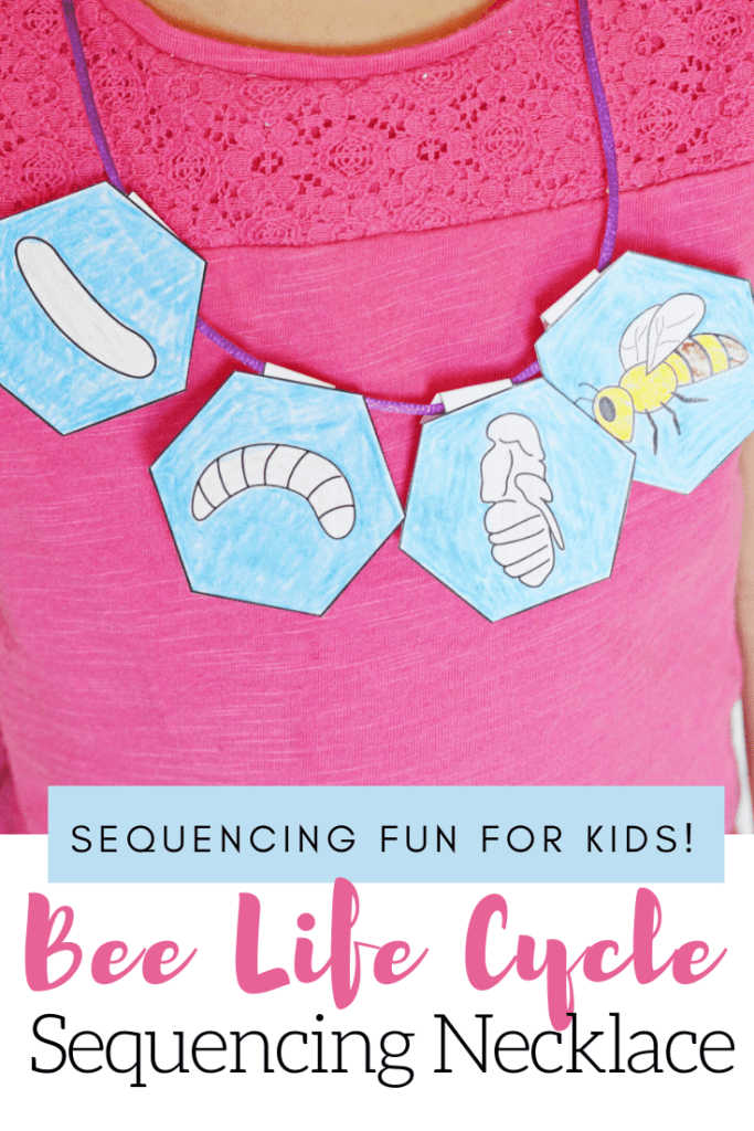 After teaching your preschoolers about bees, let them put together this bee life cycle sequencing necklace that will help them retell how a bee grows.