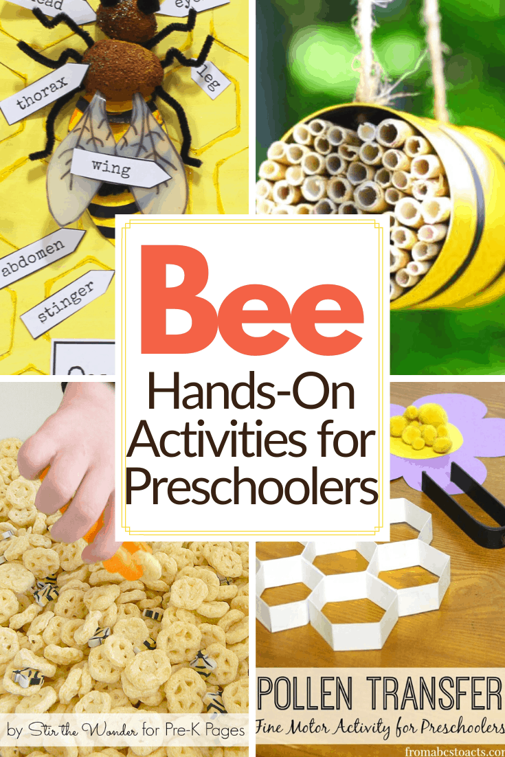 20 Engaging Hands-On Activities Exploring Bees for Kids