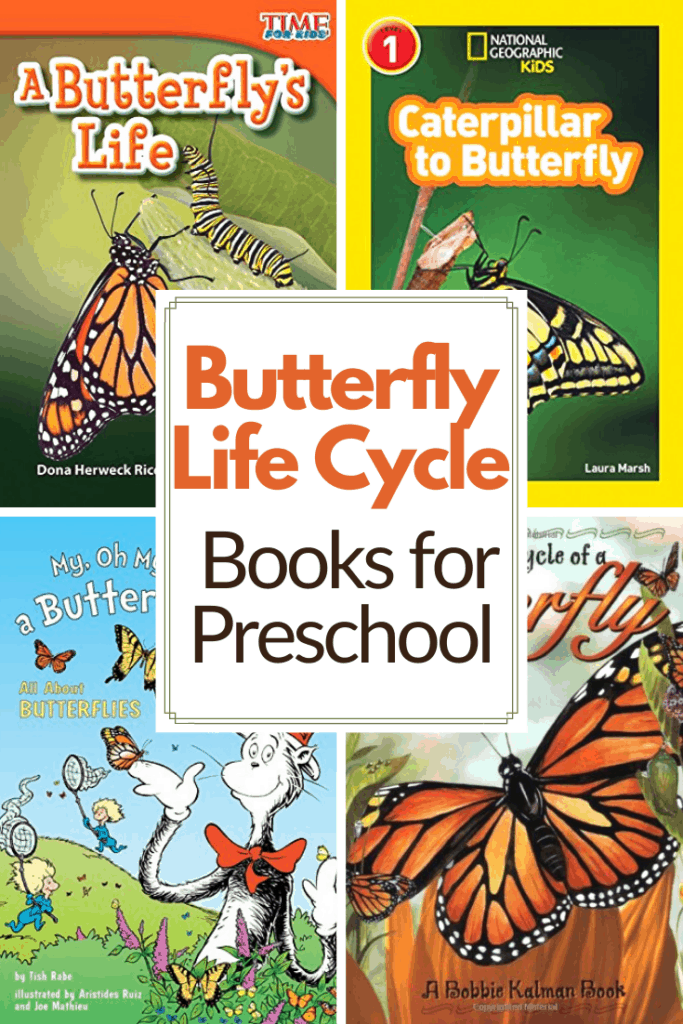 As spring turns into summer, teach your preschoolers about how butterflies grow with these butterfly life cycle books for kids. 