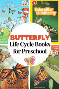 Butterfly Life Cycle Books