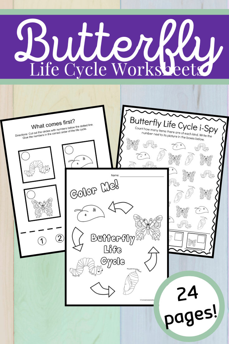 Study butterflies this spring and summer! This printable features activities that focus on life cycle of a butterfly for kids. 16 exciting activities!