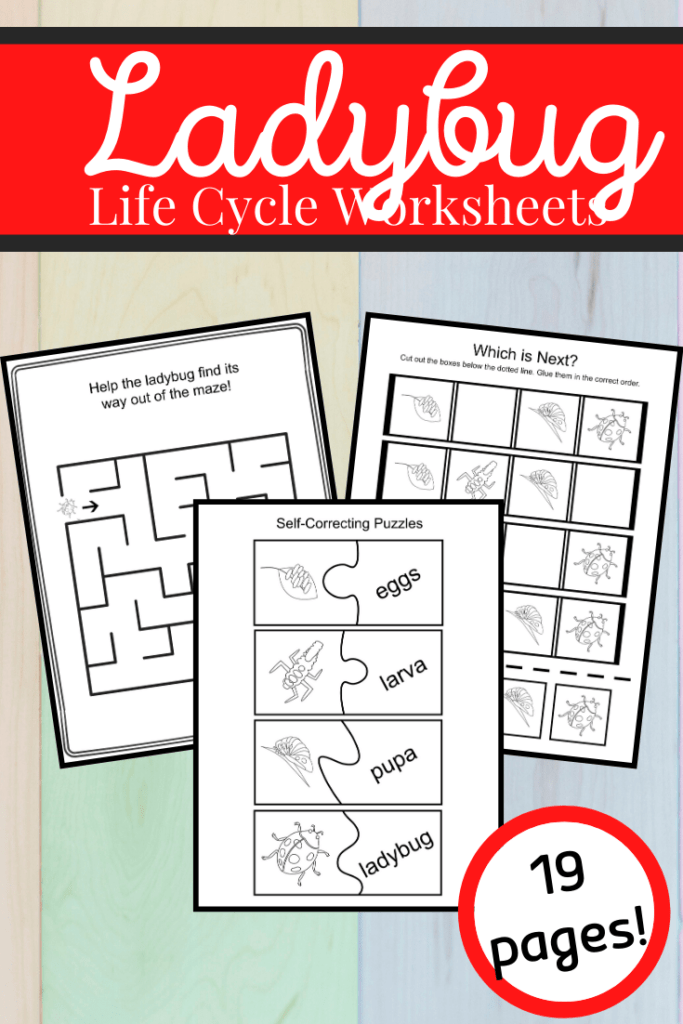 Printable Life Cycle of a Ladybug Playdough Mats