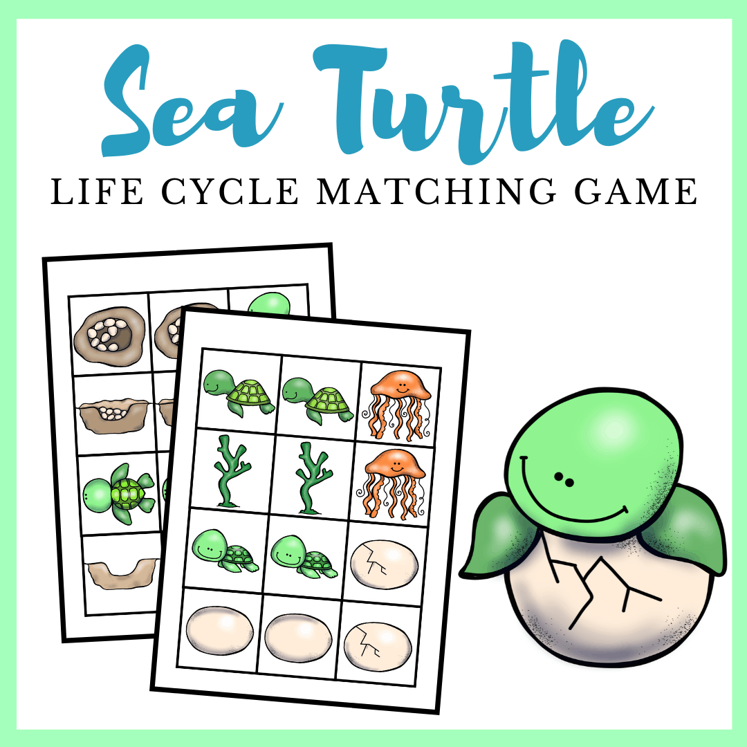sea-turtle-matching-game Sea Turtle Life Cycle Printable