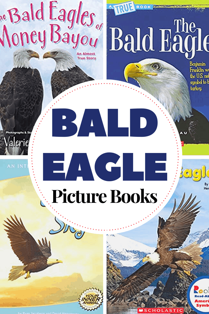 Whether you're adding books about bald eagles to your patriotic activities or your bird studies, this collection of picture books is a great place to start your search!