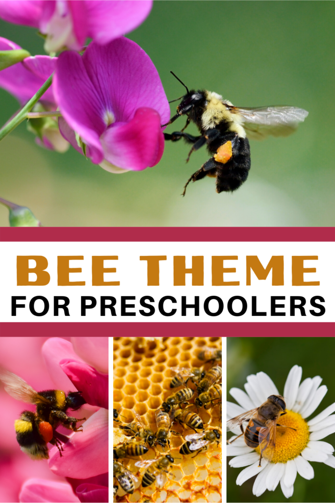 Bee activities for preschoolers! Find crafts, printables, book lists, and more. Come discover what the buzz is all about!