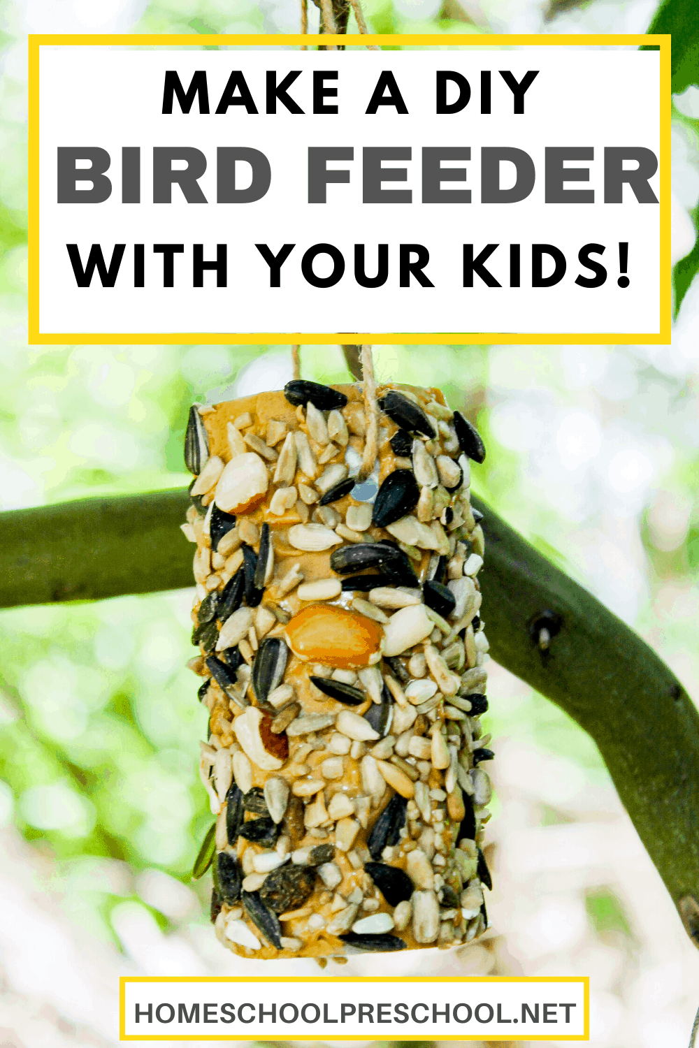 Bird Feeder Preschool Craft