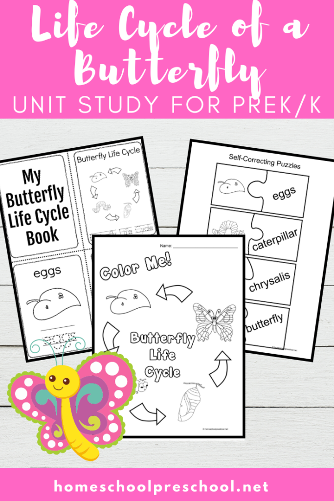 butterfly-lc-prod-post-1-683x1024 Butterfly Life Cycle for Kids