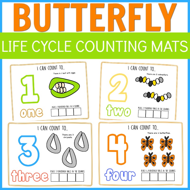 butterflyLCCOUNTING Butterfly Life Cycle for Kids