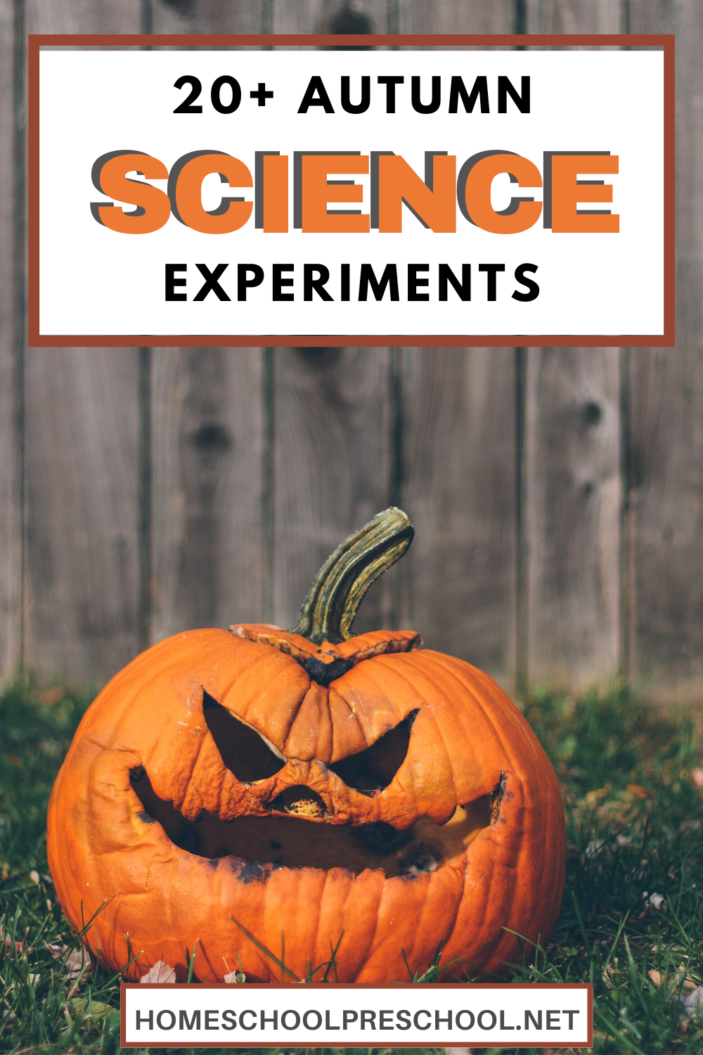 fall-science-2 Fall Books for Preschoolers