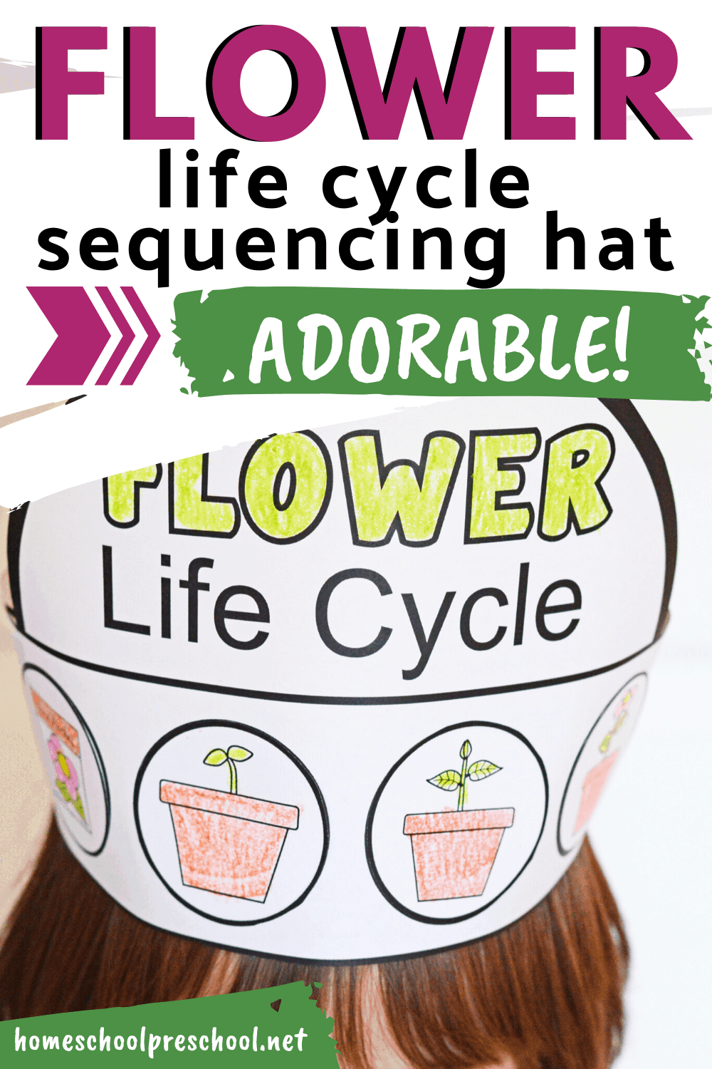 Life Cycle of a Flower Hat