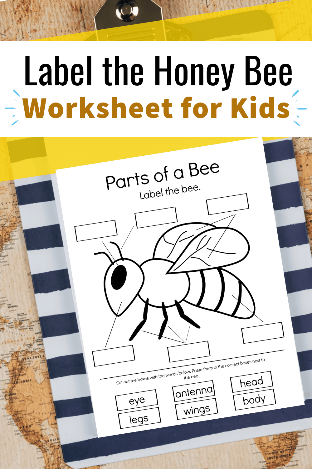 This parts of a bee preschool worksheet is perfect for your life cycle, insect, and general bee-themed preschool activities this spring and summer. 