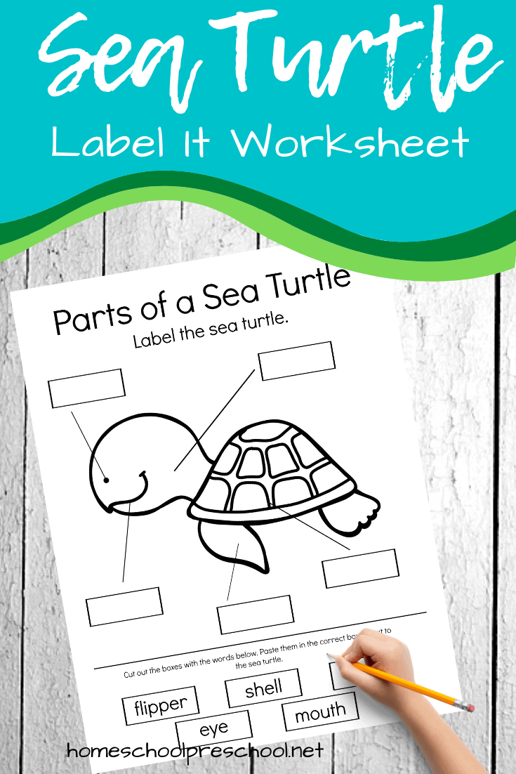 label-turtle-2 Ocean Life Coloring Pages