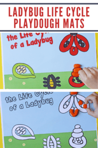 Ladybug Playdough Mats