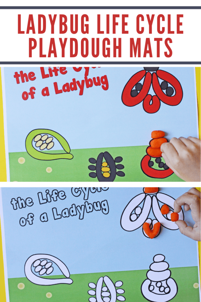 These ladybug playdough mats will help preschoolers visualize the stages of the life cycle of a ladybug. They are both educational and fun!