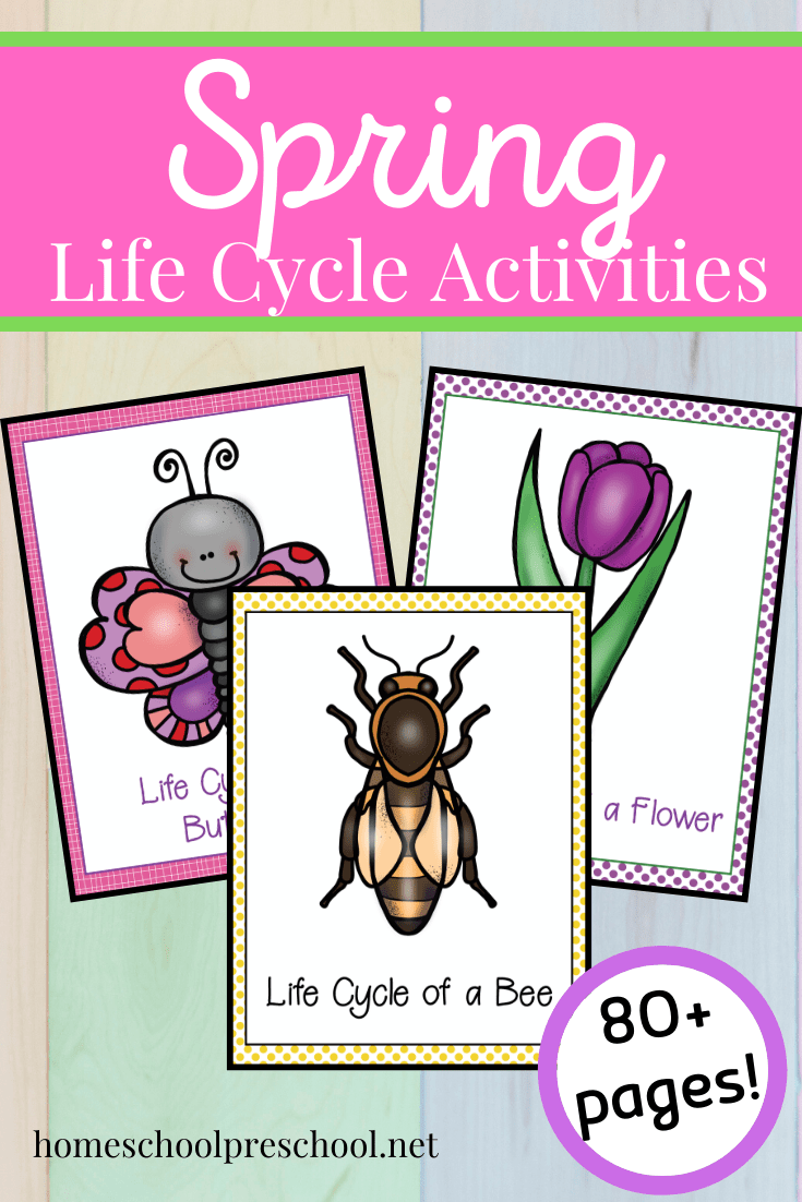 During the spring months, use this awesome collection of spring life cycle worksheets to teach your preschoolers about bees, butterflies, flowers, and frogs!