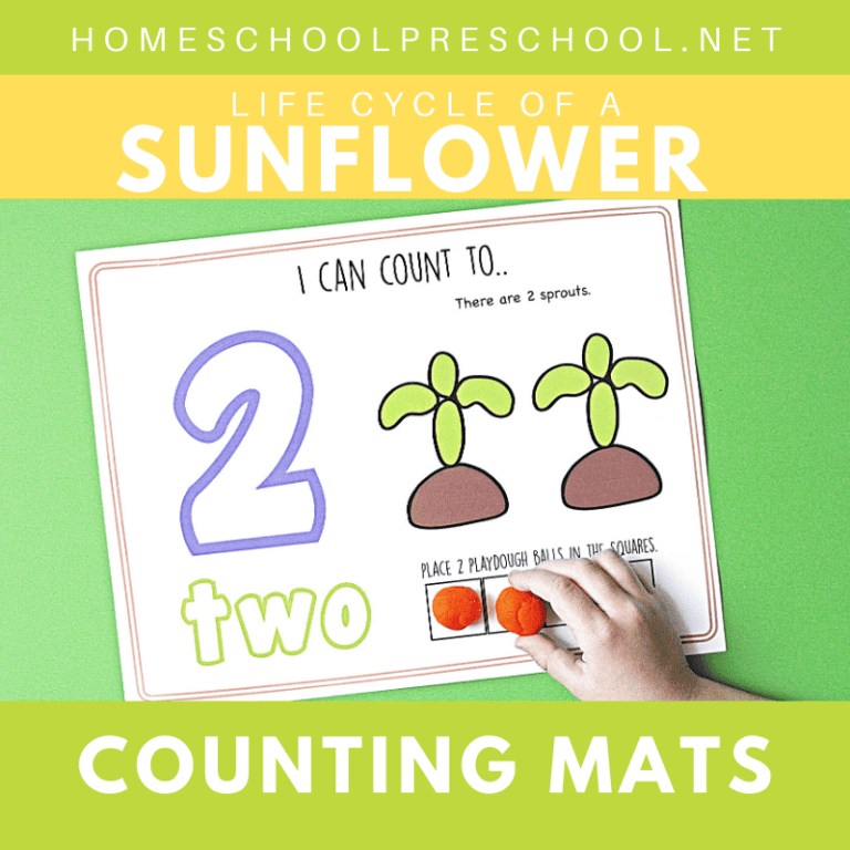 These sunflower life cycle counting mats are a fun way to review the stages of the life cycle while working on one-to-one correspondence and counting.