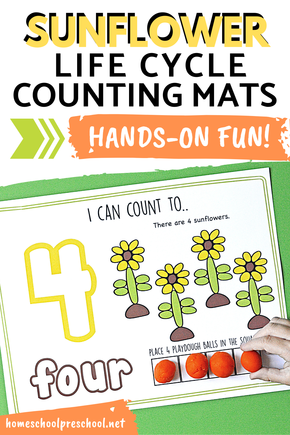 These sunflower life cycle counting mats are a fun way to review the stages of the life cycle while working on one-to-one correspondence and counting.