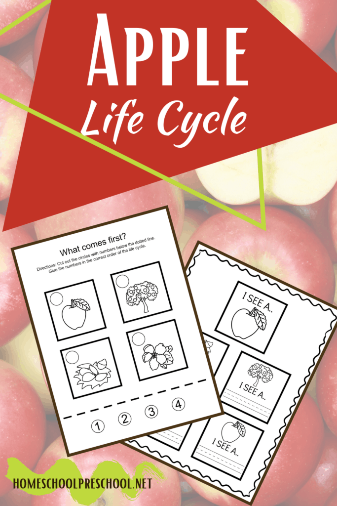 apple-life-cycle-1-683x1024 Apple Life Cycle
