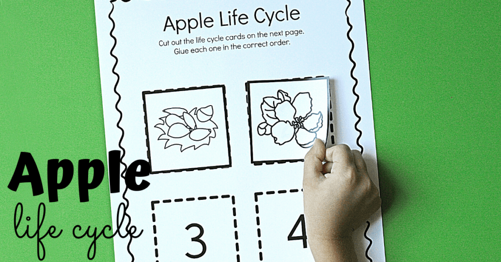 apple-life-cycle-fb-1024x536 Apple Life Cycle