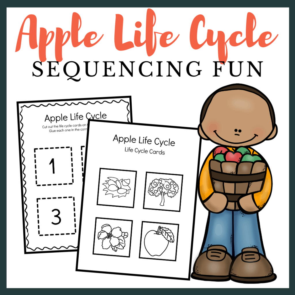apple-life-cycle-sequencing-1024x1024 Apple Life Cycle