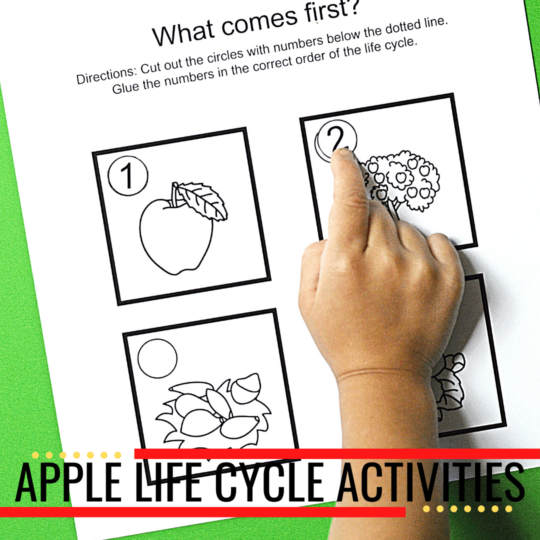 3 Printable Apple Life Cycle Activities for Preschool