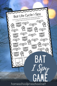 Bat I Spy Game