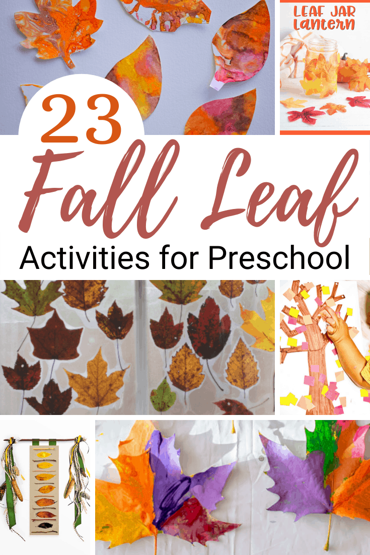 Leaf Activities for Preschoolers