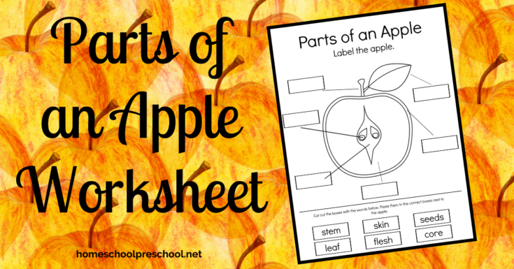 parts-of-an-apple-worksheet-735x385 Apple Printables