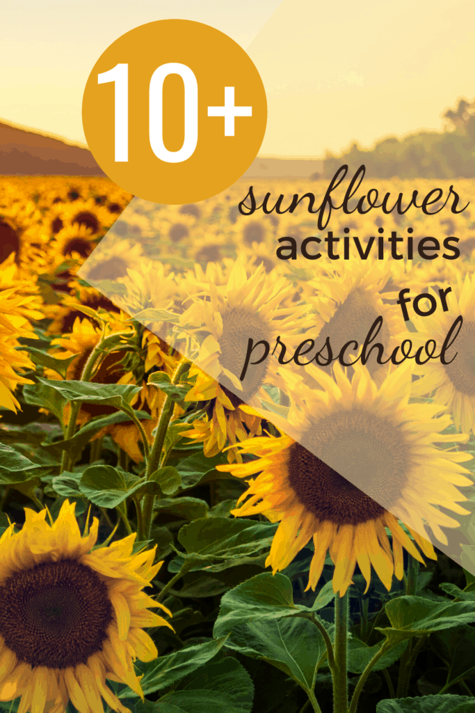 sunflower-lp-1-683x1024 Sunflower Preschool Activities