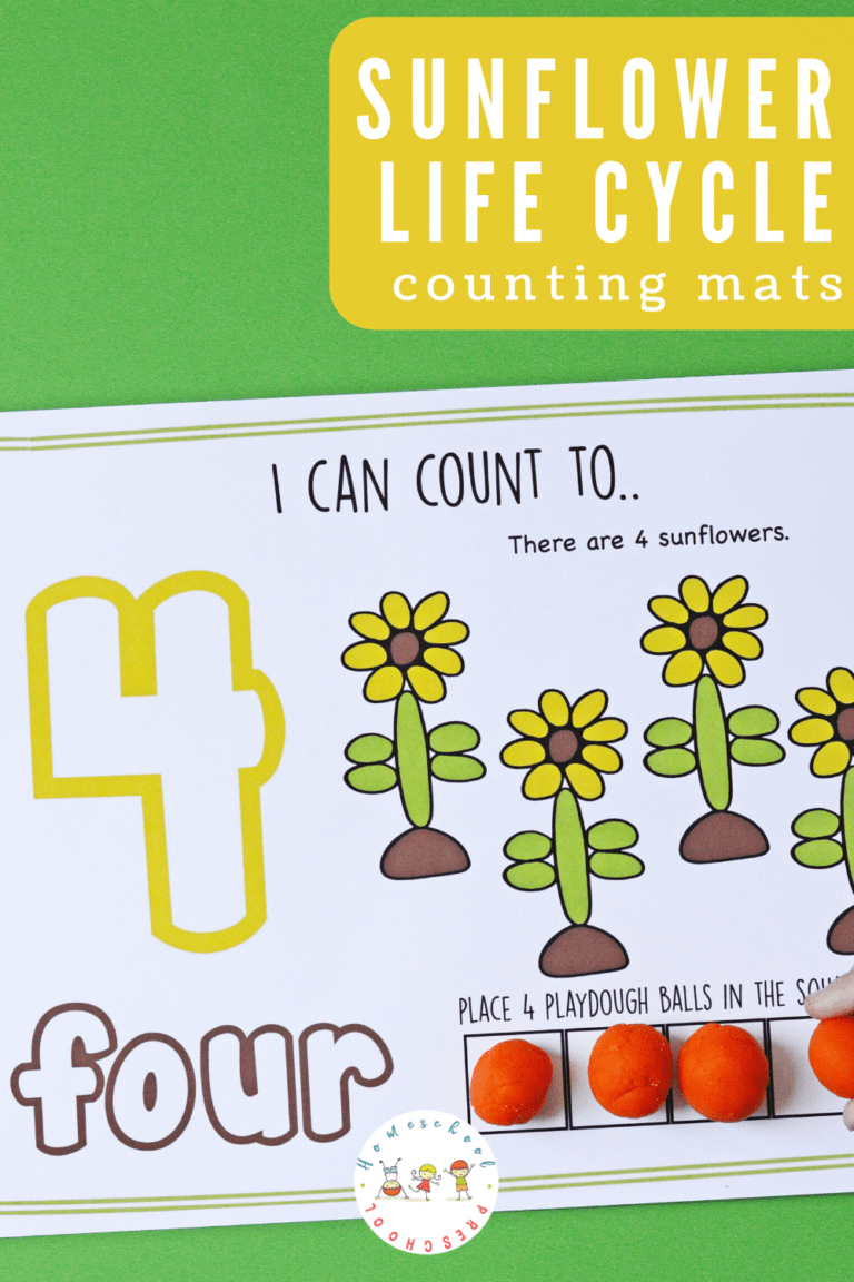 Sunflower Life Cycle Counting Mats