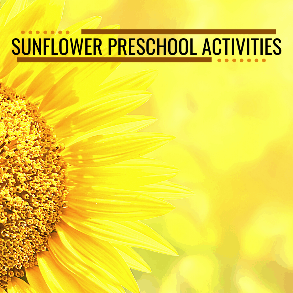 sunflower-preschool-1024x1024 Sunflower Preschool Activities