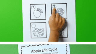 Apple Printables for Your Apples Preschool Theme