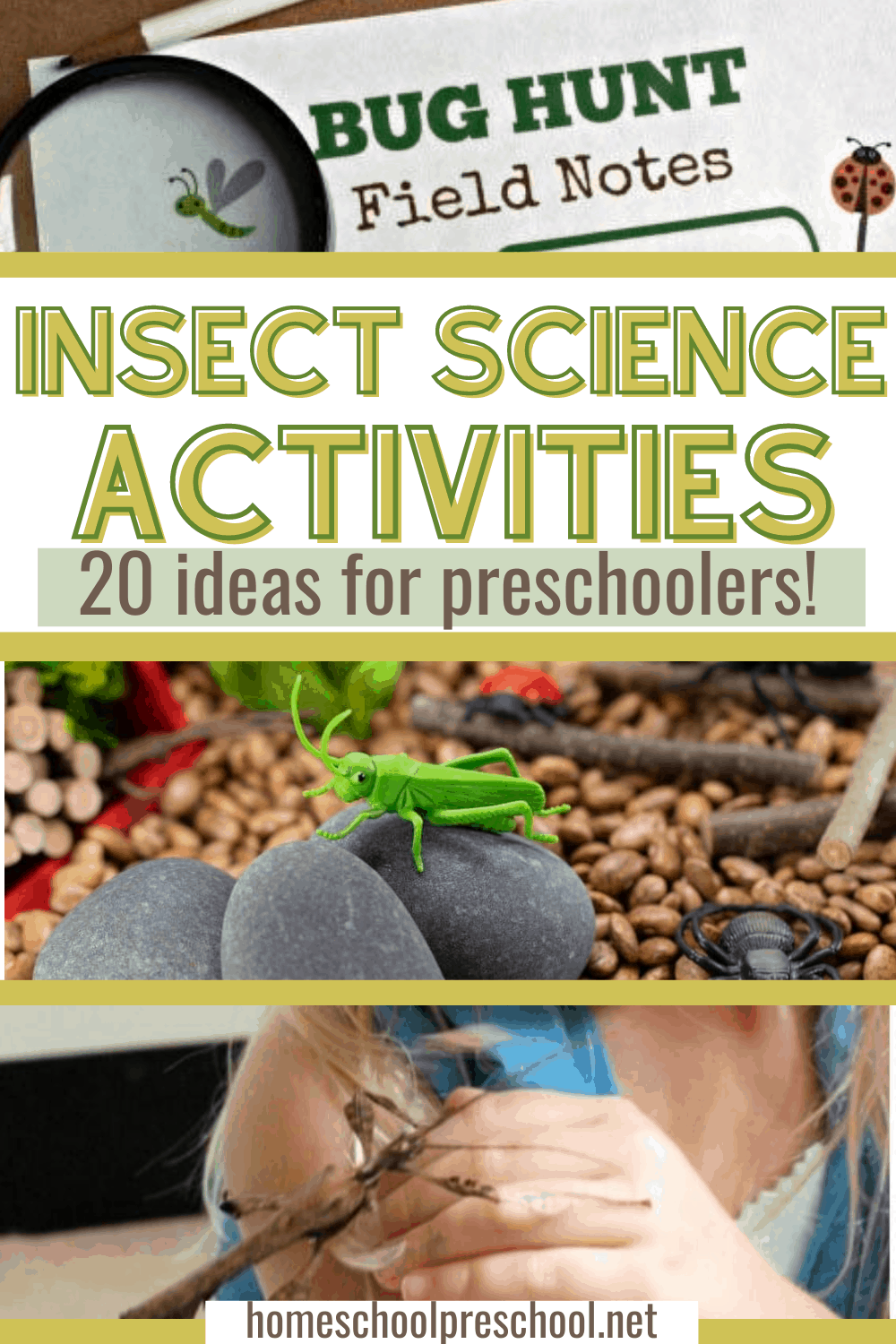 Insect Science Activities for Preschoolers