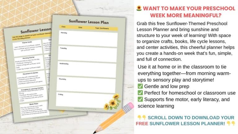 25+ Sunflower Preschool Activities for Hands-On Learning Fun