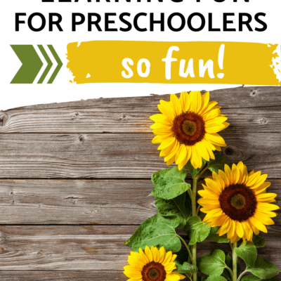Sunflower Preschool Activities